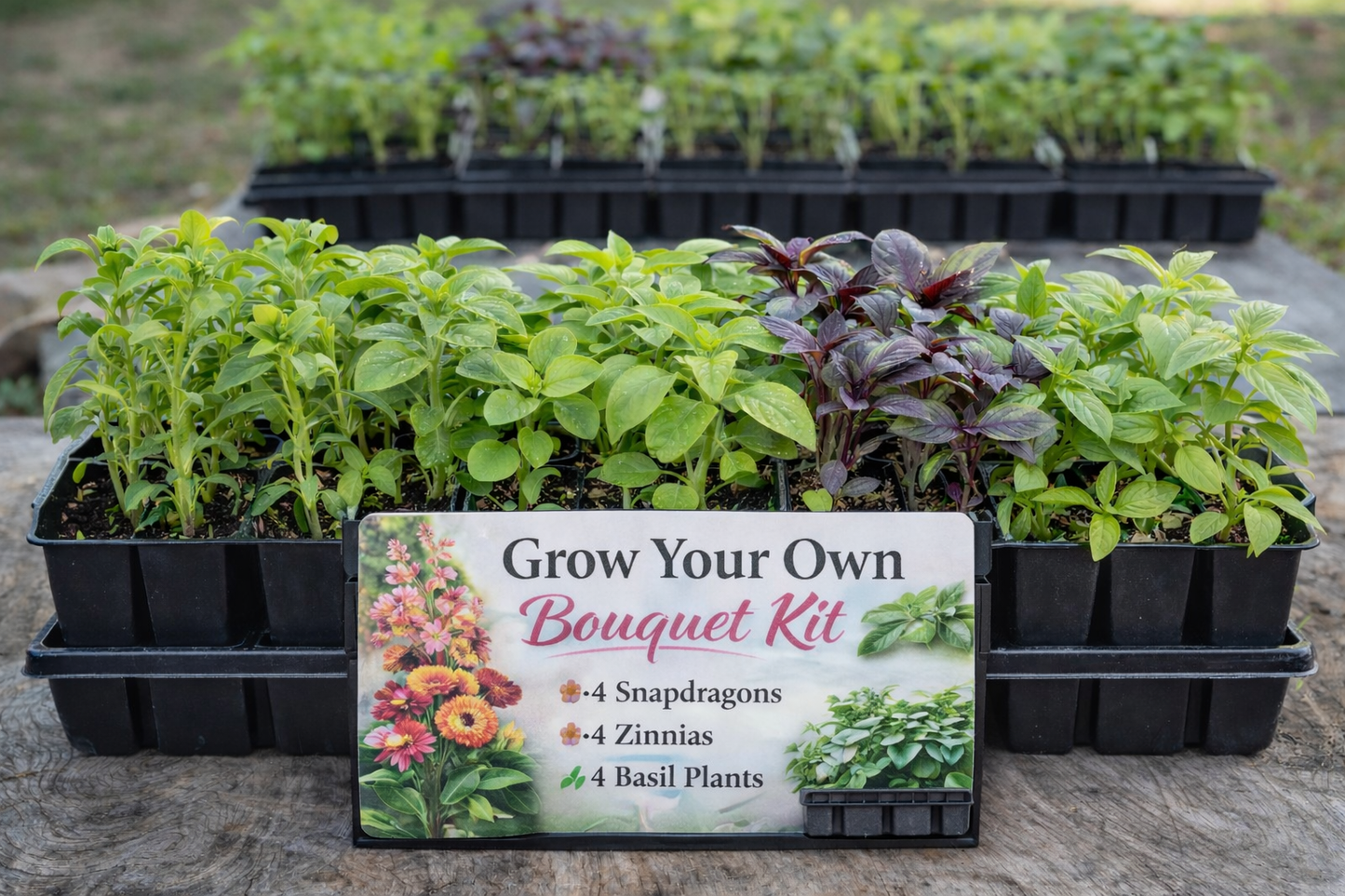 Grow Your Own Bouquet Kit!