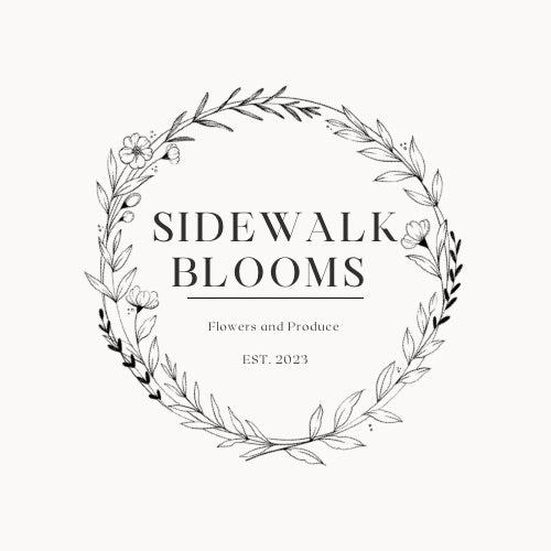 Sidewalk Blooms