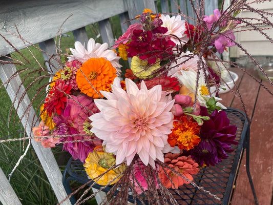 Fall Flower Subscription (August-September)
