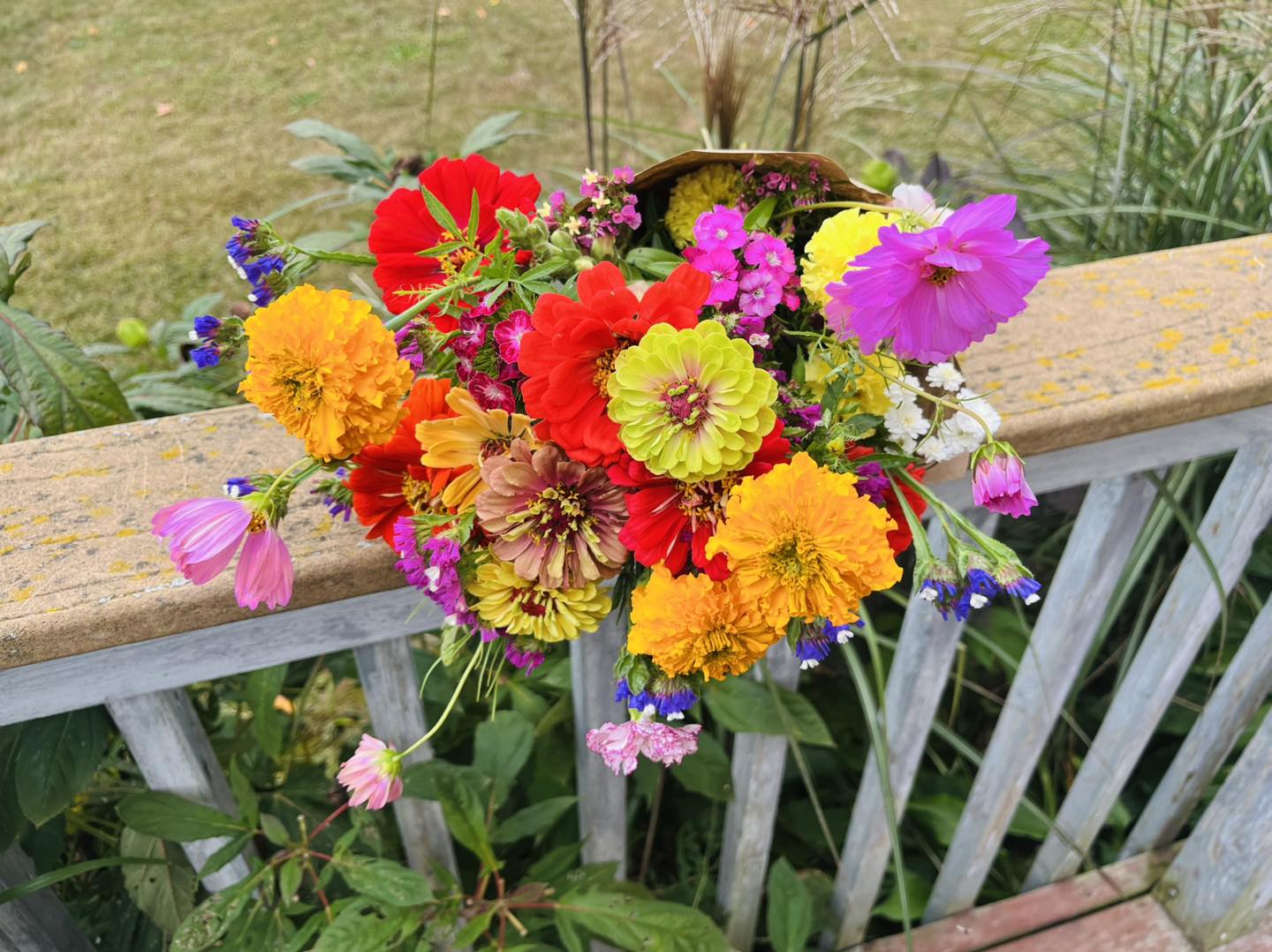 Fall Flower Subscription (August-September)